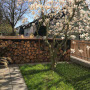 Der Blick in den Vorgarten: bis auf die prägende Magnolie wurden alle Gehölze entfernt. Am Übergang zur Garageneinfahrt schließt eine Holzlege aus Corten den Raum.
