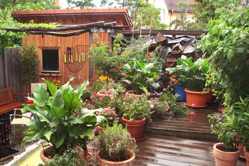 Gartenplanung in Ludwigsburg - Schwerpunkt Lärm- und Sichtschutz
