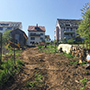 Die Arbeiten beginnen: zunächst wird die Fläche abgeräumt.