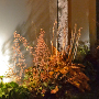 warmbronn_beleuchtung_pflanze