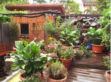 Gartenplanung in Ludwigsburg